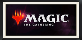 Magic the Gathering (MTG)