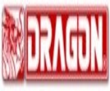 dragon logo pic