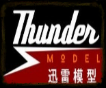 THUNDER MODELS LOGO PIC