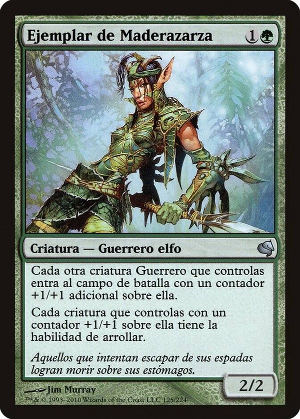 Magic the Gathering (MTG) : Bramblewood Paragon - Salvat 2011 B.B. - U