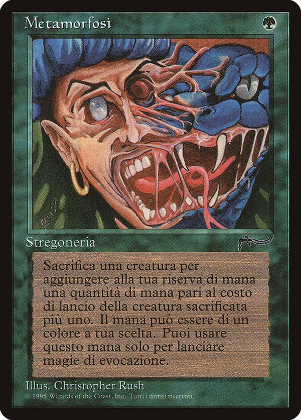 Magic : The Gathering (MTG) : Metamorphosis - Rinascimento (Italian) - C (SPLD+)