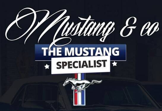 mustang and co logo pic
