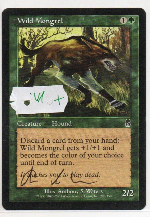 Magic : The Gathering (MTG) : Wild Mongrel - (Odyssey) - C (SIGNED ANTHONY S. WATERS) V.1 (SPLD+)