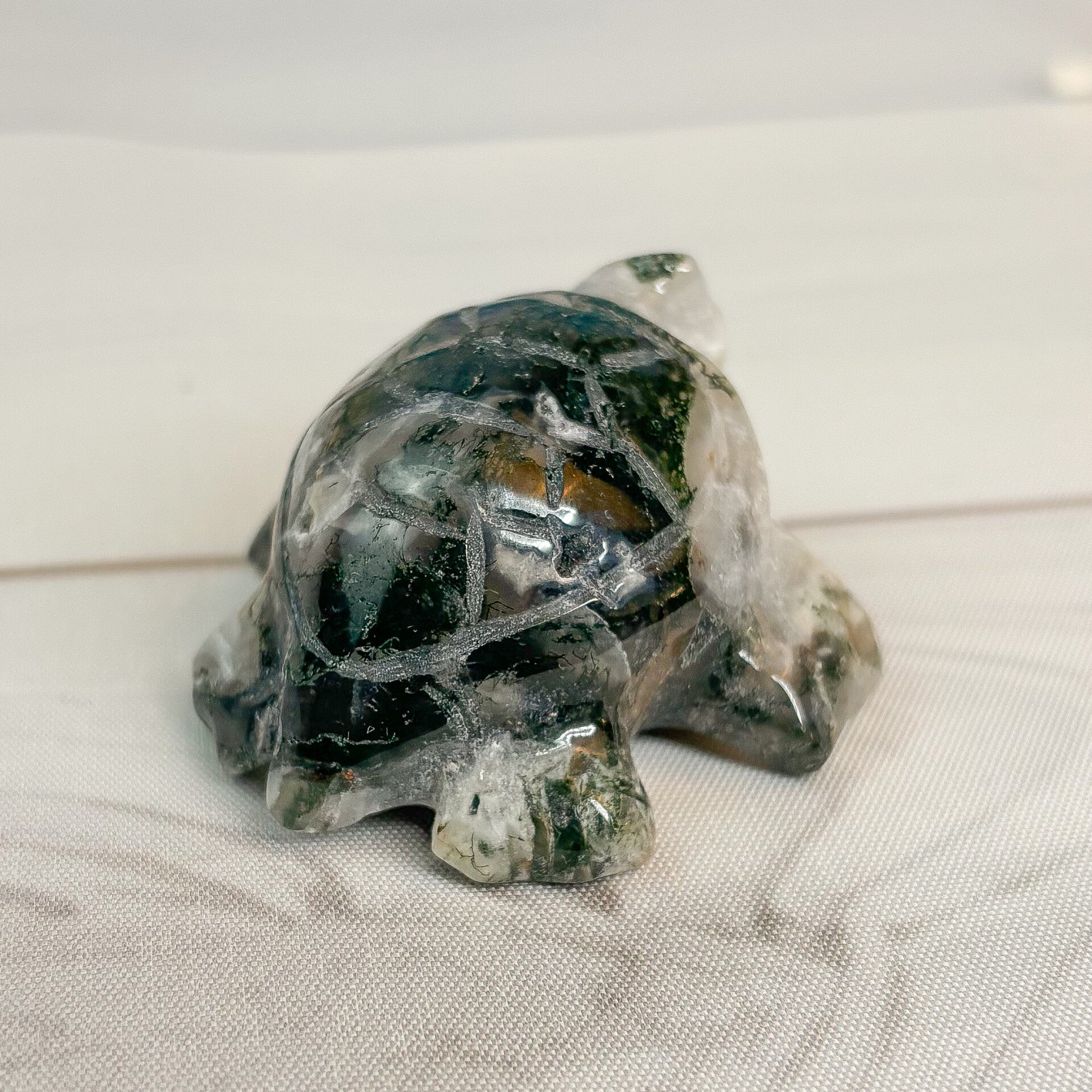 Moosachat Schildkröte B-Ware
