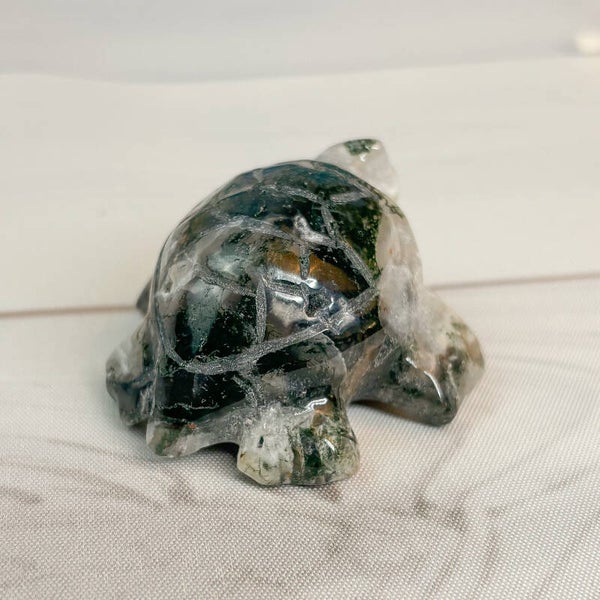 Moosachat Schildkröte B-Ware