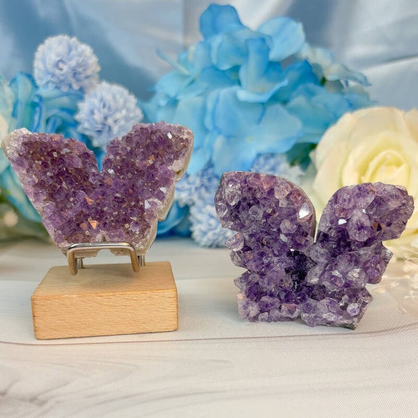Amethyst Schmetterling