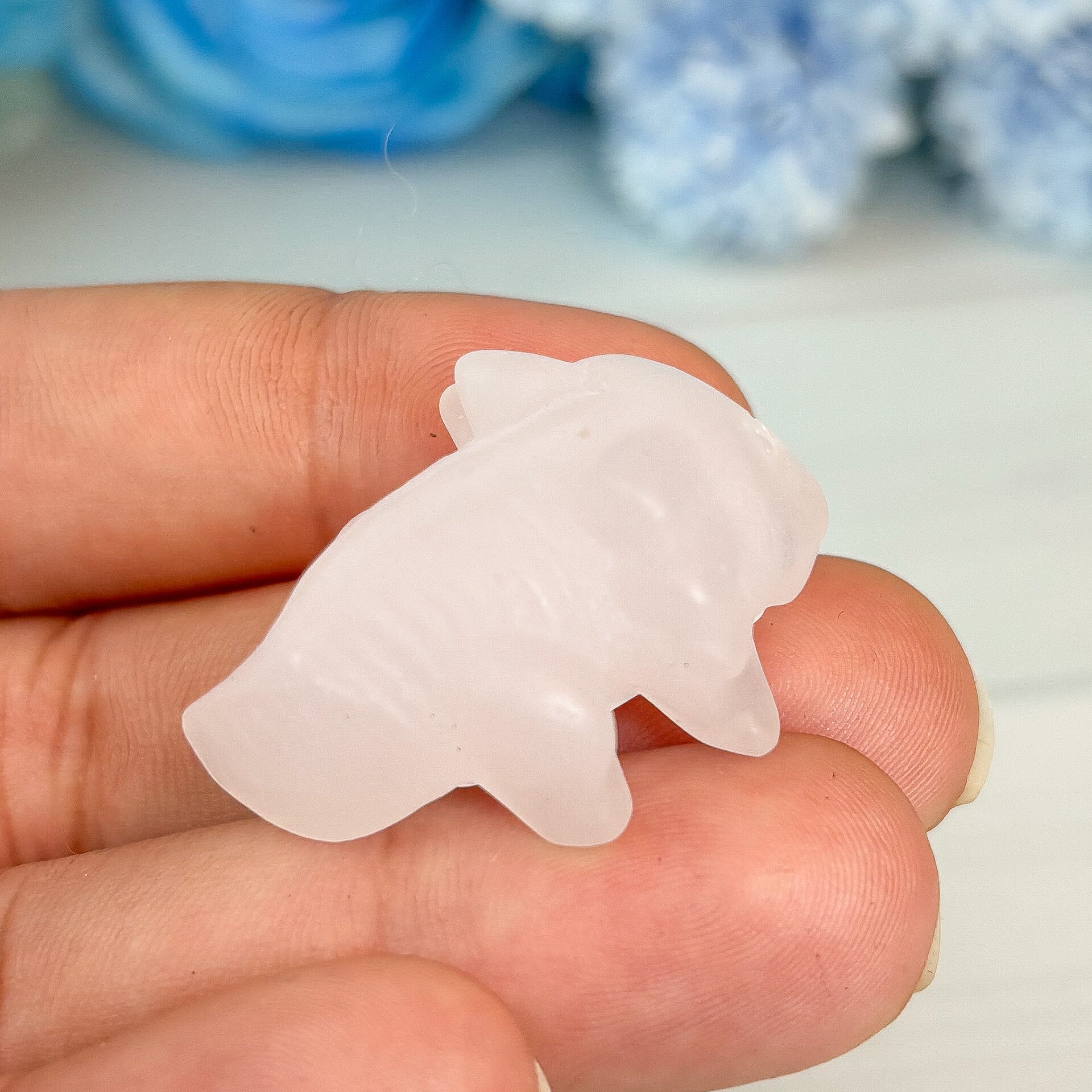 Fluorit Axolotl