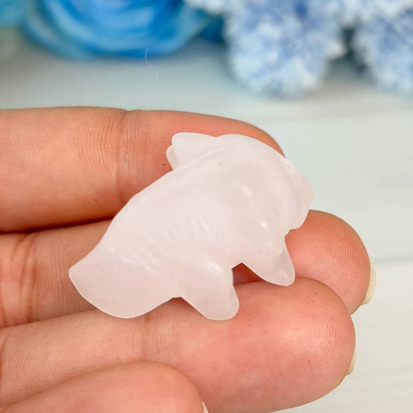 Fluorit Axolotl