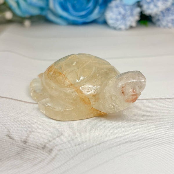 Goldenhealer Schildkröte mit Regenbögen