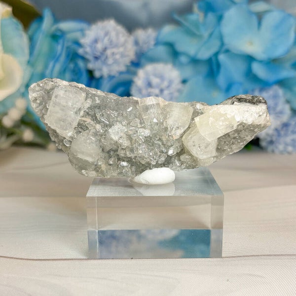 Apophyllit auf Chalcedon
