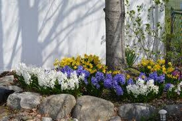 Specialty Service - Flowerbed & Walkway