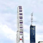 F201DAE9-C6C5-43F1-A0D1-4F0C835B3501.jpeg