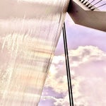 456EB373-F2C9-4273-B3F7-A40F13587BC6.jpeg