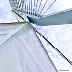 47B99729-47D9-4D5F-BA07-A6653A0D0672.jpeg