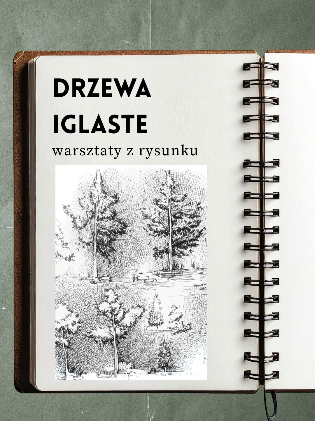 Warsztaty z rysunku - drzewa iglaste, 19.08.