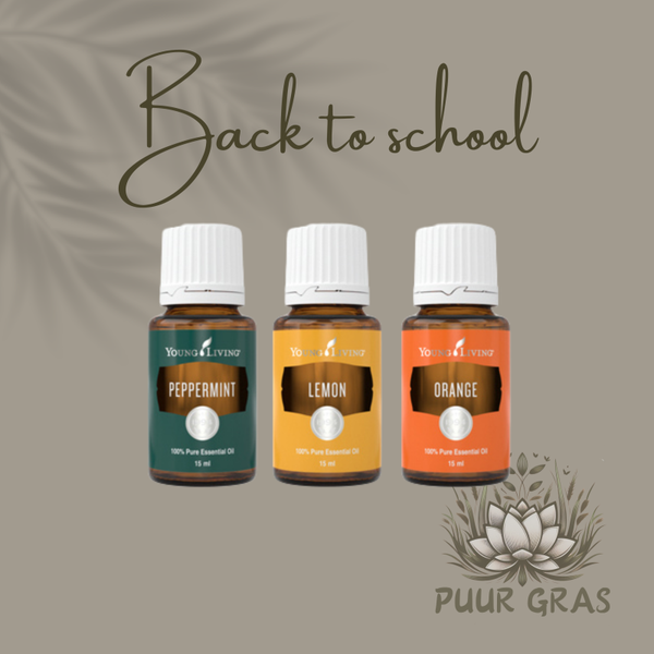 Back to school! Set 1