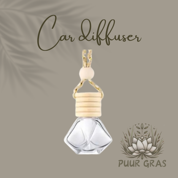 Car diffuser