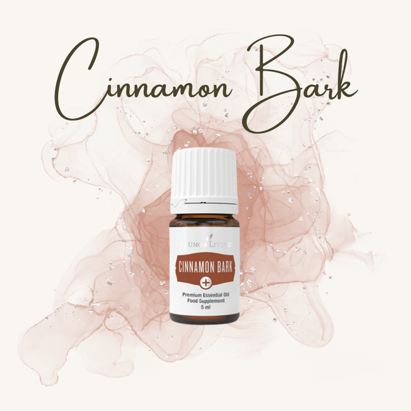 Cinnamon Bark