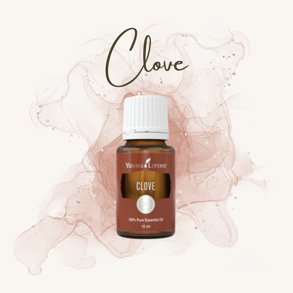 Clove