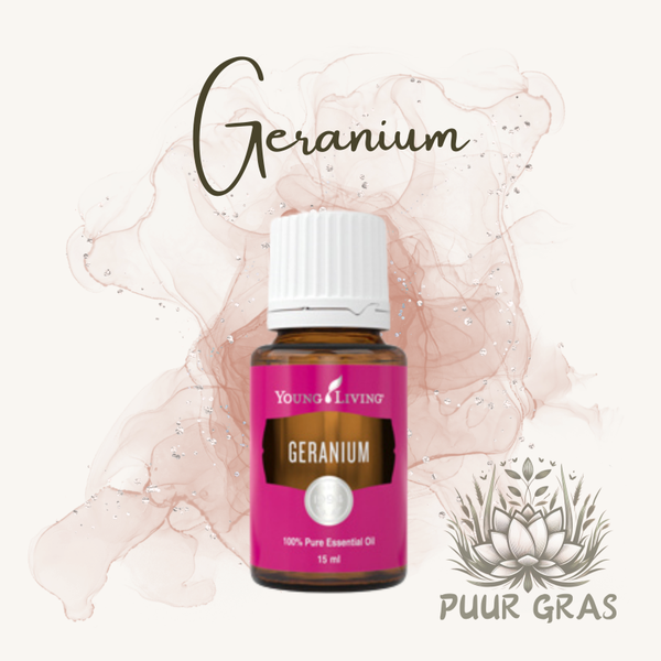 Geranium