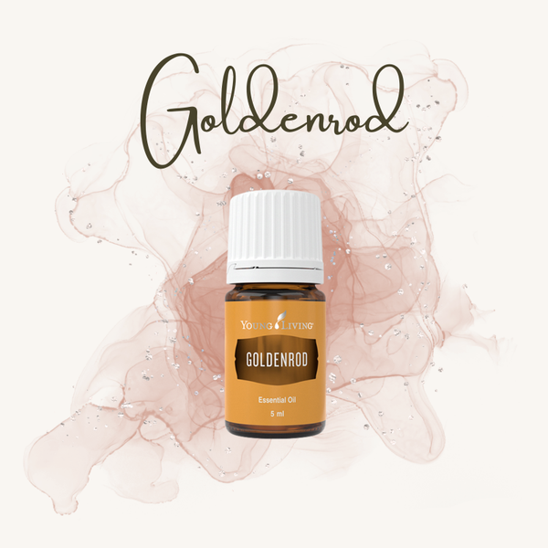 Goldenrod 5ml