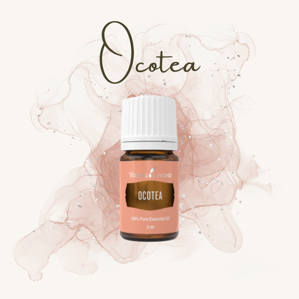 Ocotea 5ml