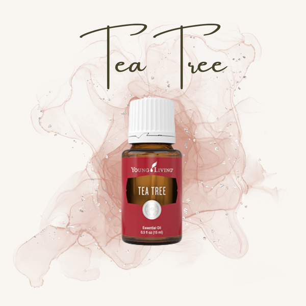 Tea Tree