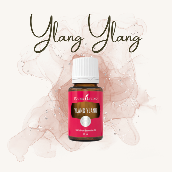 Ylang Ylang 15ml