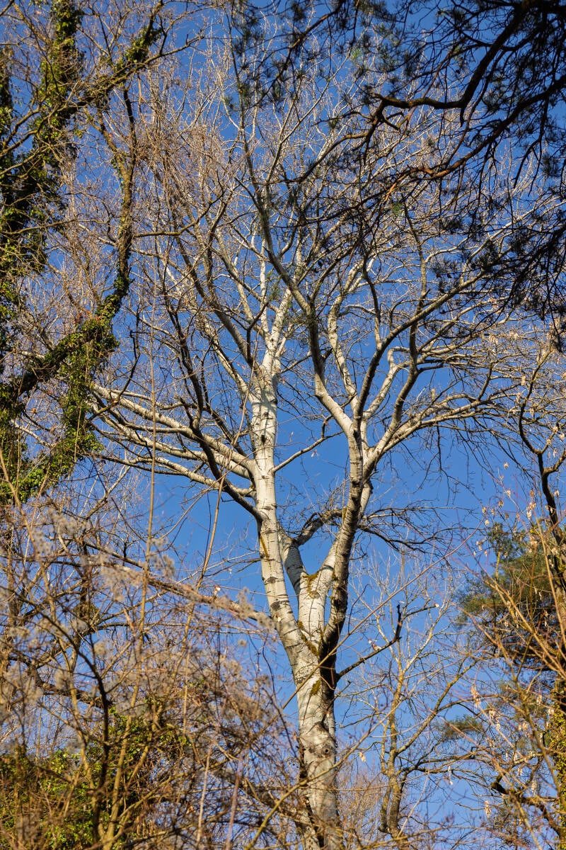 03-03-2026-22-standard.jpg