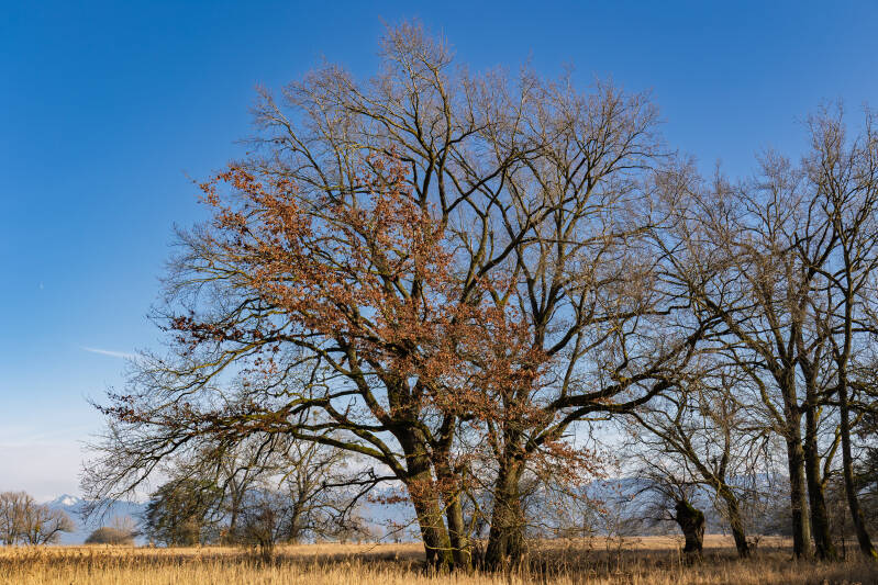 03-03-2026-91-standard.jpg