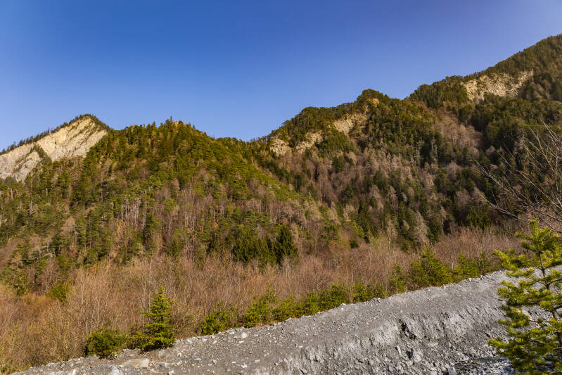 07-03-2026-59-standard.jpg