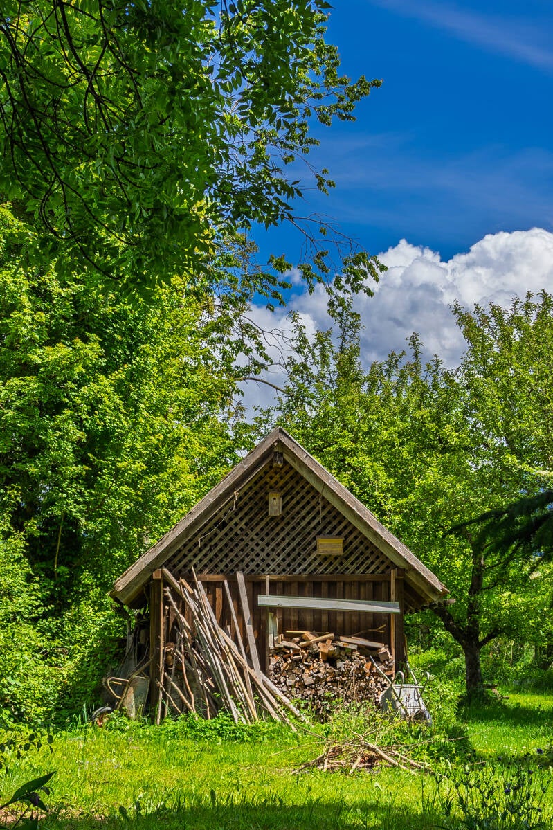 2026-05-17-104-standard.jpg
