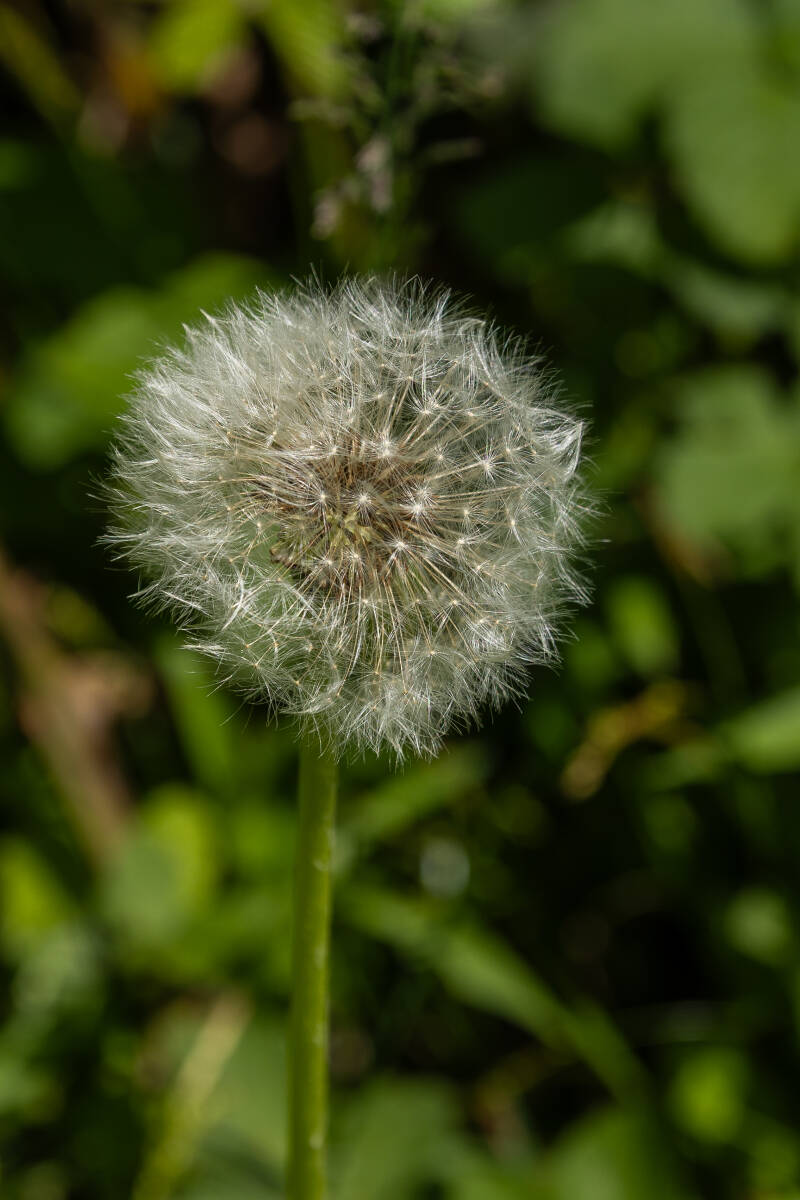 2026-05-17-115-standard.jpg