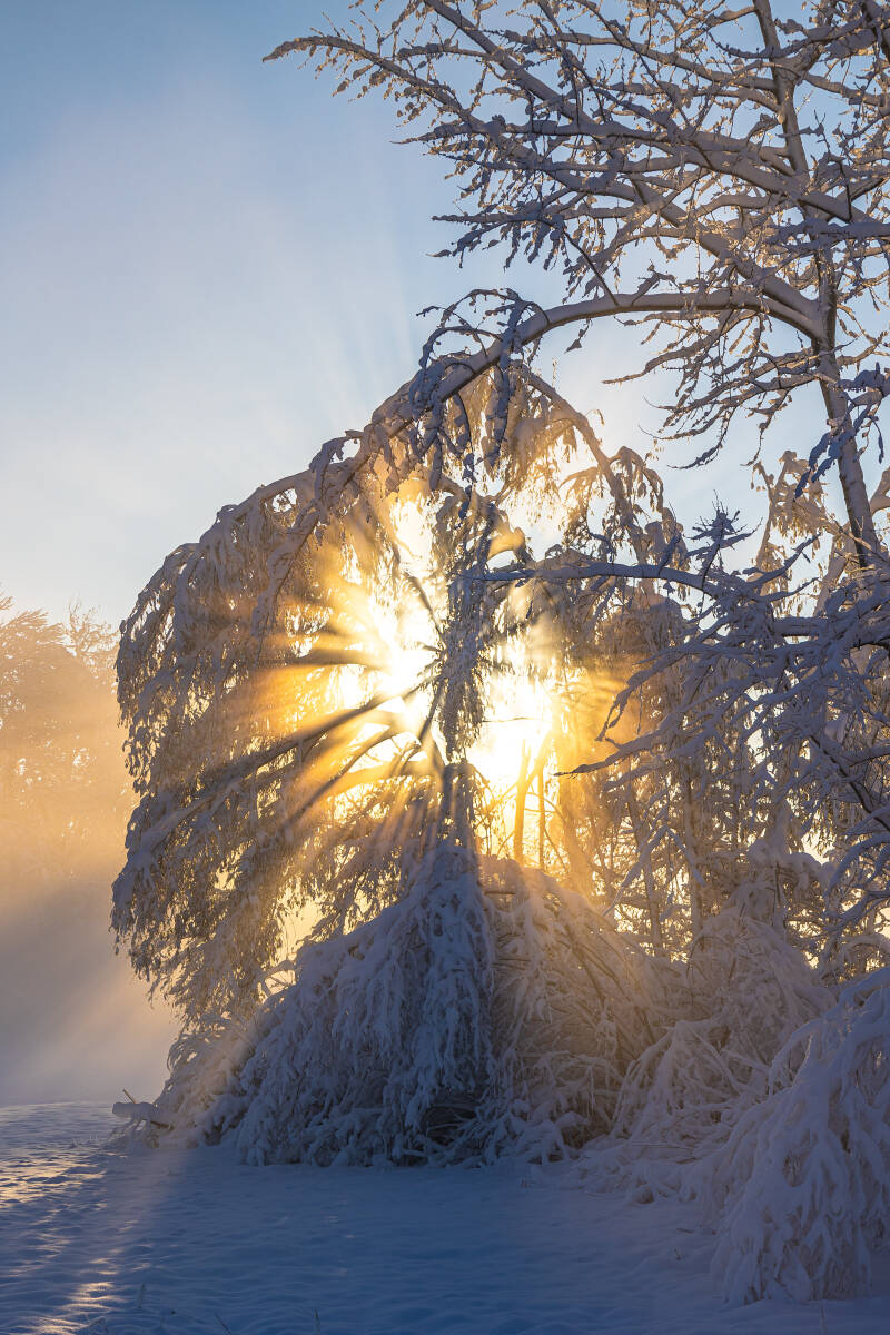 Sonnenaufgang am Eselschwanz
