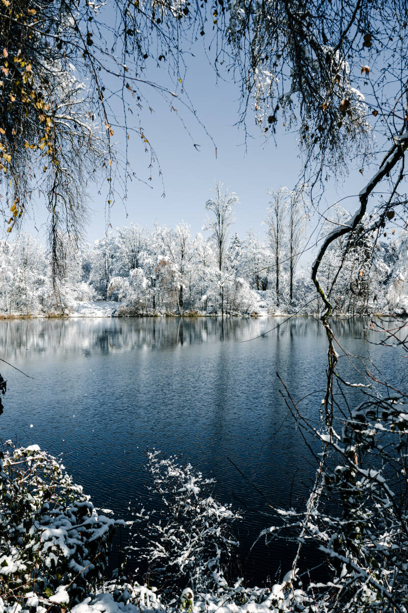 am alten Rhein bei Diepoldsau