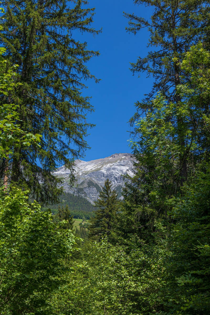 hb2a1576-standard.jpg