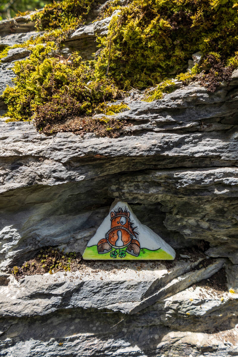 hb2a1578-standard.jpg