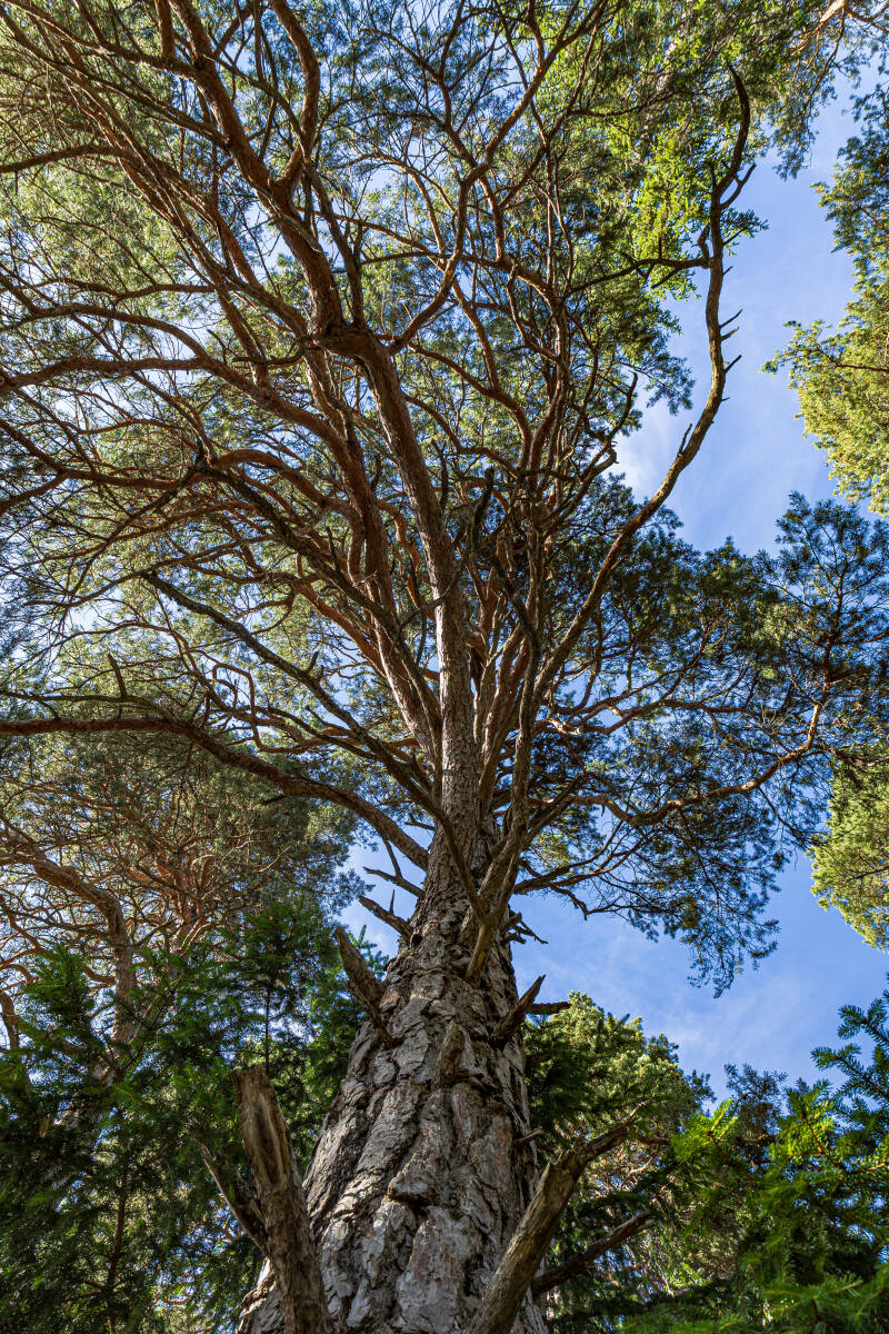 hb2a1671-standard.jpg