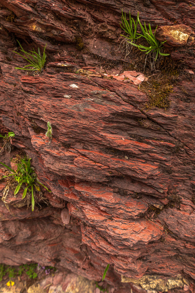 hb2a1834-standard.jpg