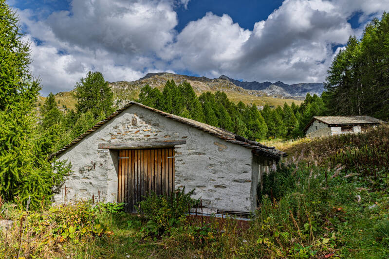 hb2a3586-standard-jpnsqx.jpg