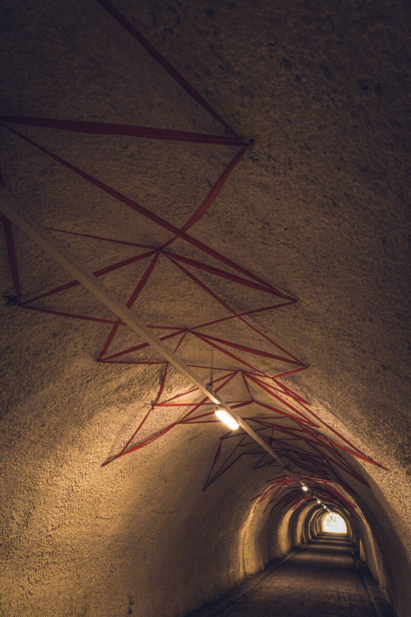 hb2a3688-standard.jpg