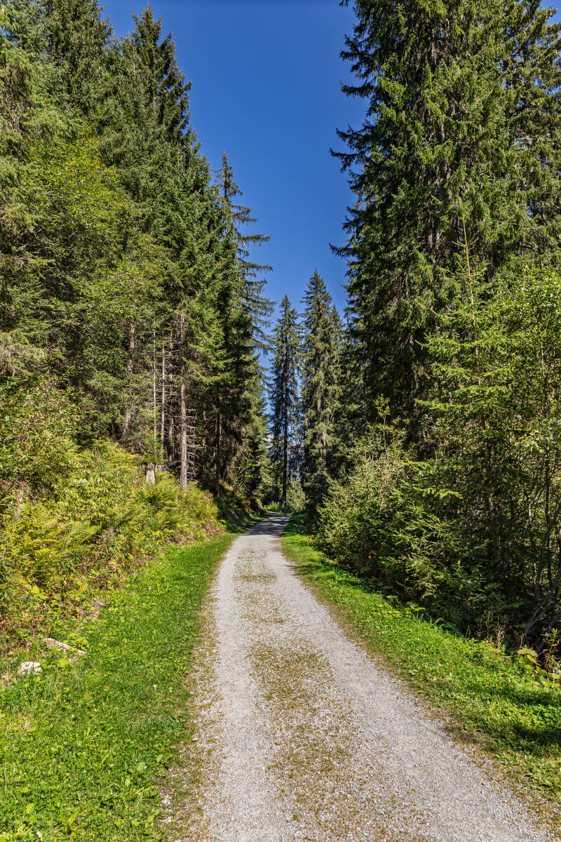hb2a3693-standard.jpg