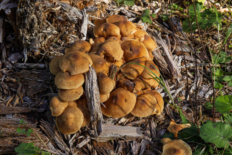 hb2a3816-standard.jpg