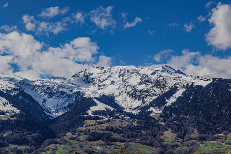 schwarze Hörner 2645, Schwarzchopf 2481