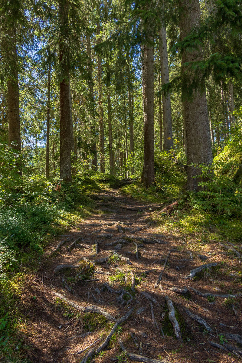 hb2a3993-standard-8p2z7z.jpg