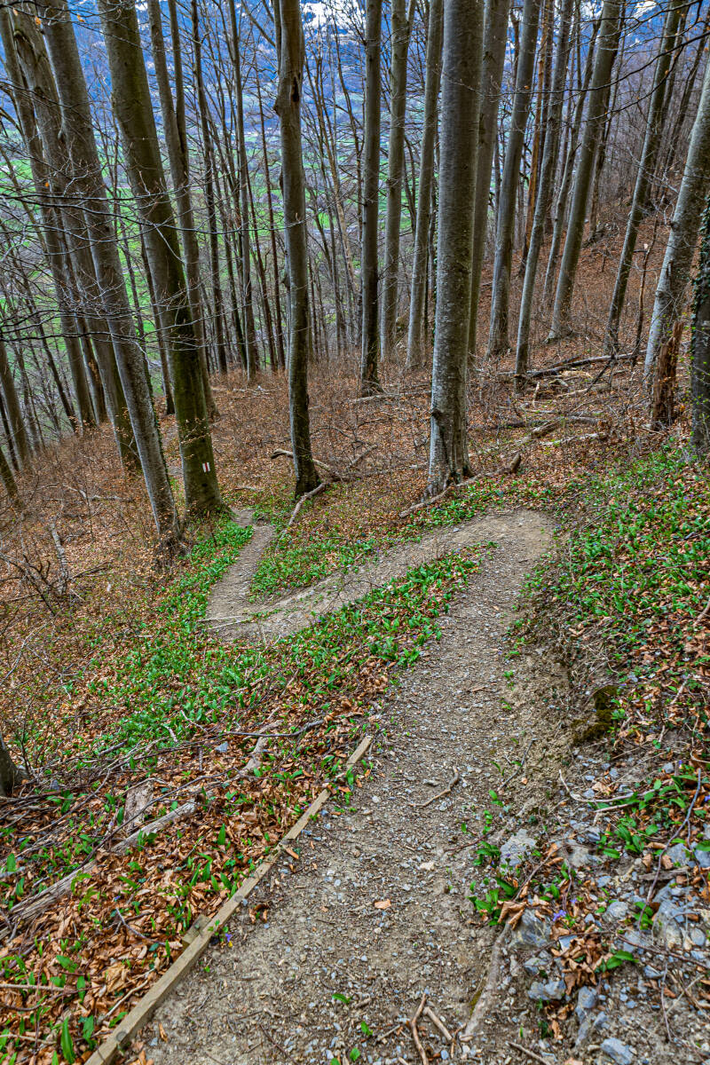 Hier fängt der Bergweg an
