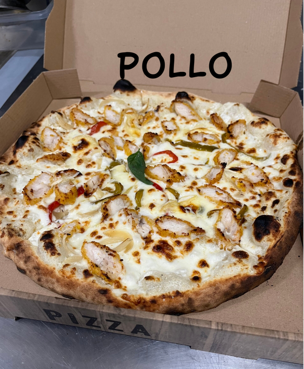 Pollo