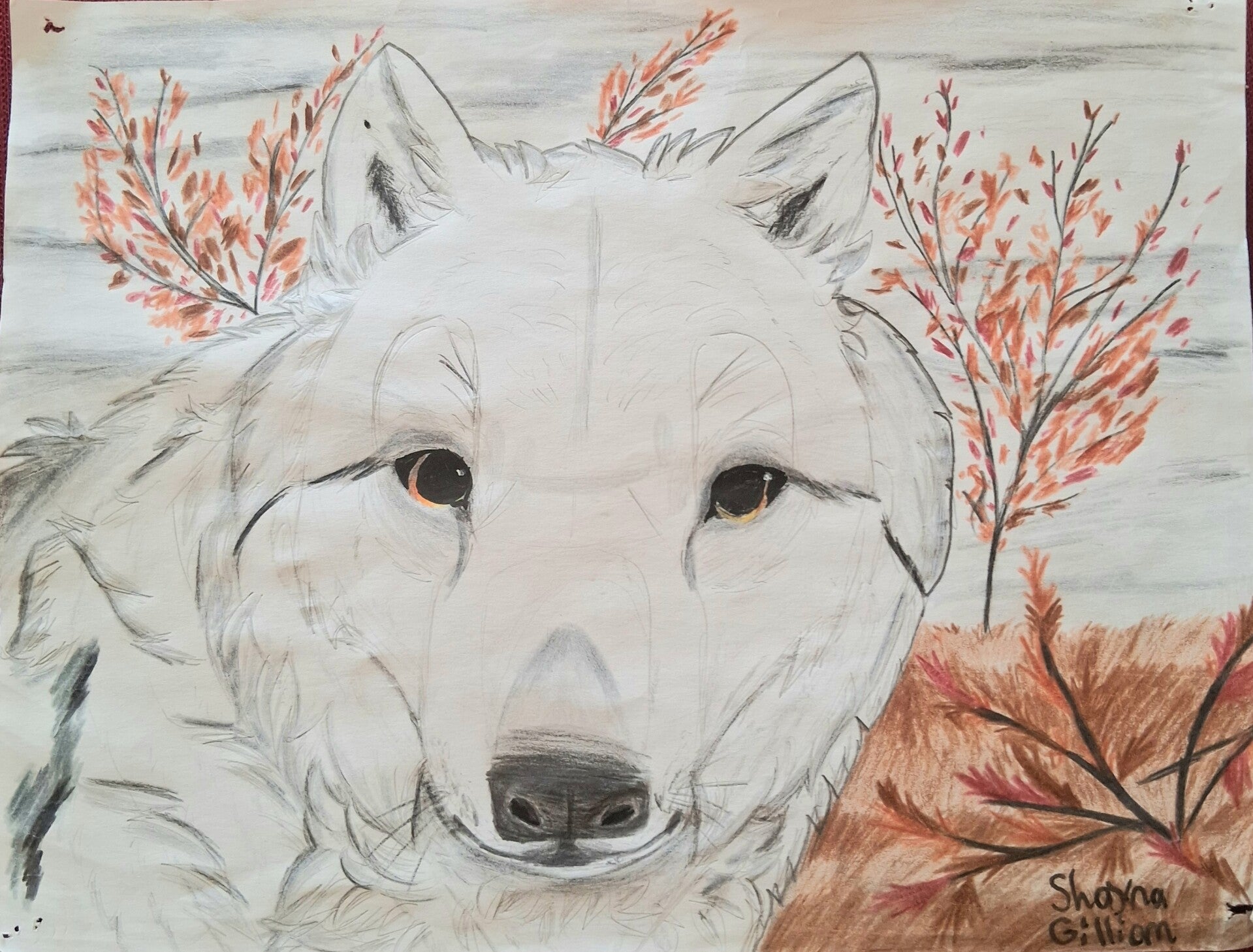 Snow wolf