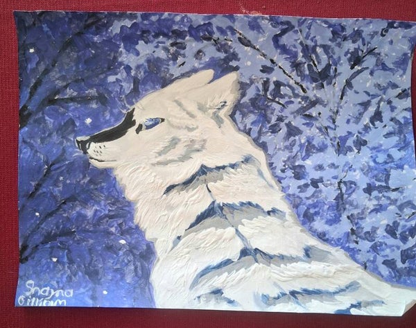 Midnight wolf