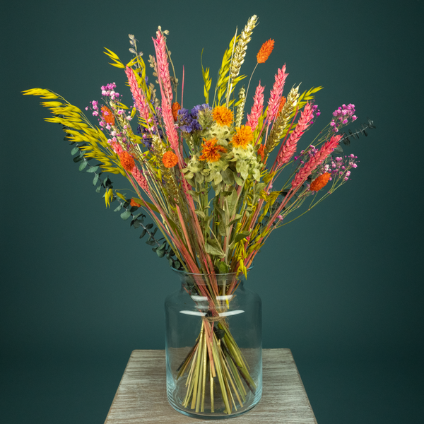 Droogboeket Kleurrijk met Vaas